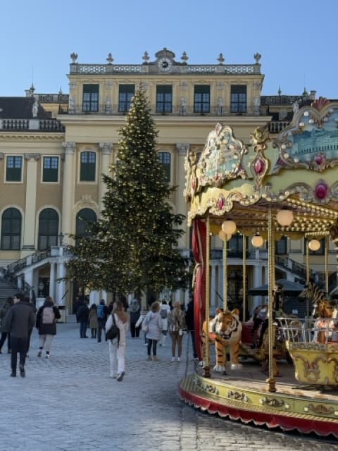 The History and Magic of Christmas Markets in Vienna